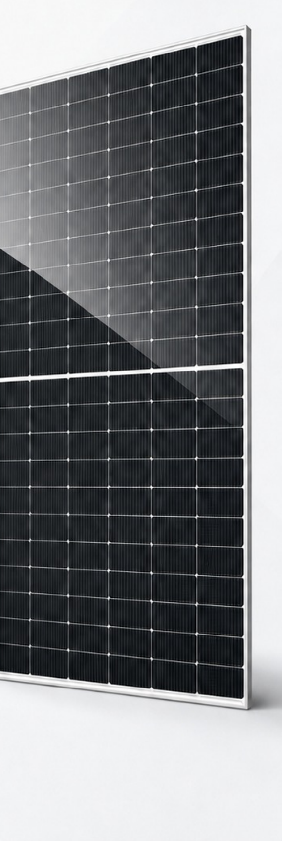 NPV605W Double Glass Bifacial Module